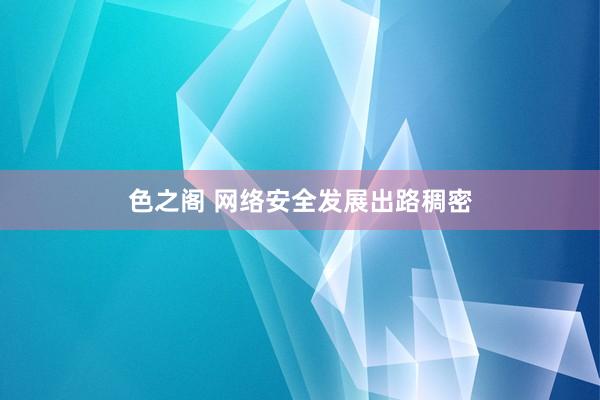 色之阁 网络安全发展出路稠密