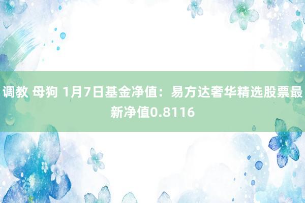 调教 母狗 1月7日基金净值：易方达奢华精选股票最新净值0.8116