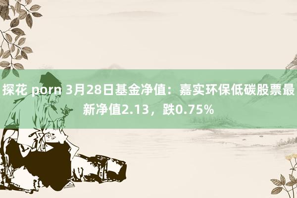 探花 porn 3月28日基金净值：嘉实环保低碳股票最新净值2.13，跌0.75%