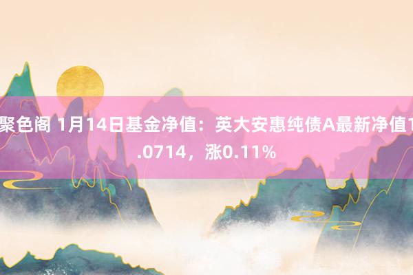 聚色阁 1月14日基金净值：英大安惠纯债A最新净值1.0714，涨0.11%