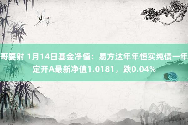 哥要射 1月14日基金净值：易方达年年恒实纯债一年定开A最新净值1.0181，跌0.04%