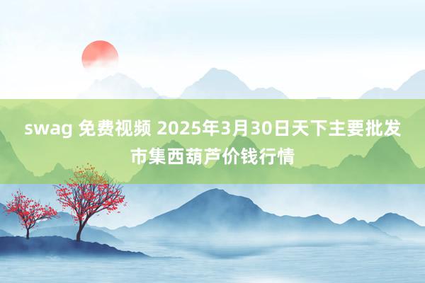swag 免费视频 2025年3月30日天下主要批发市集西葫芦价钱行情