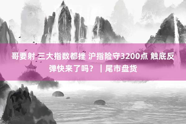 哥要射 三大指数都挫 沪指险守3200点 触底反弹快来了吗？｜尾市盘货